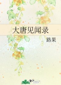 《大唐见闻录》