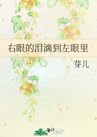 《右眼的泪滴到左眼里》