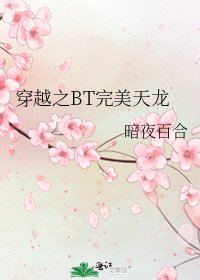 《穿越之BT完美天龙》