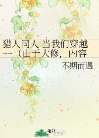 《猎人同人 当我们穿越~~(由于大修,内容已经转移到别处)》