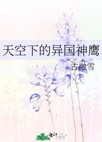 《天空下的异国神鹰》
