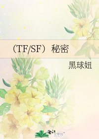 《(TF/SF)秘密》