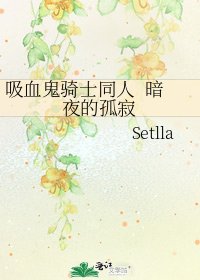 《吸血鬼骑士同人 暗夜的孤寂》