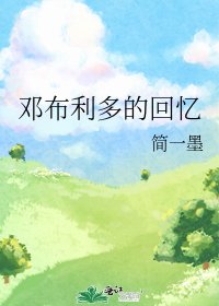 《邓布利多的回忆》