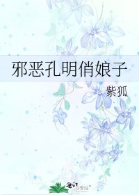 《邪恶孔明俏娘子》