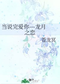《当说完爱你---龙月之恋》