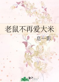 《老鼠不再爱大米》