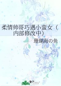 《柔情帅哥巧遇小蛮女(内部修改中)》