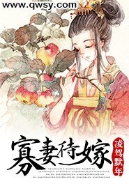 《寡妻待嫁》