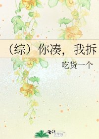 《(综)你凑,我拆》