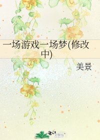 《一场游戏一场梦(修改中)》