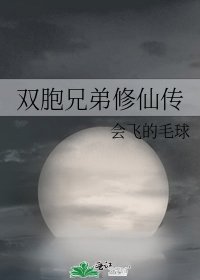 《双胞兄弟修仙传》