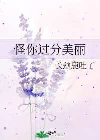 《怪你过分美丽》