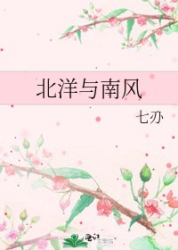 《北洋与南风》