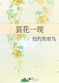 《昙花一现》