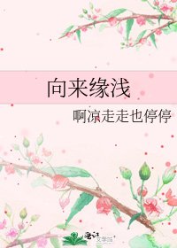 《向来缘浅》
