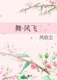 《舞·风飞》