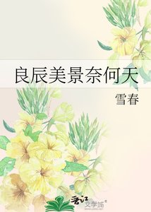 《良辰美景奈何天》