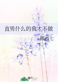 《直男什么的我才不做》