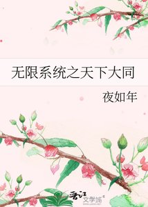 《无限系统之天下大同》