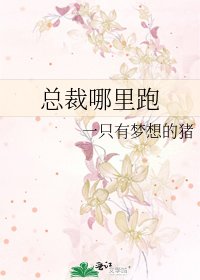 《总裁哪里跑》