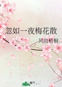 《忽如一夜梅花散》