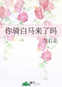 《你骑白马来了吗》