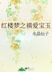 紅樓夢之禛愛寶玉