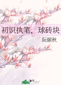 初识执笔,球砖块