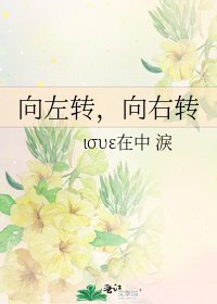 《向左转,向右转》