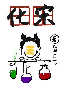 《化宋》