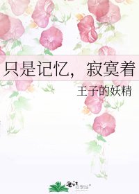 《只是记忆,寂寞着》