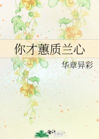 《你才蕙质兰心》