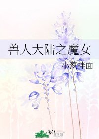 《兽人大陆之魔女》