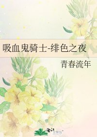 《吸血鬼骑士-绯色之夜》