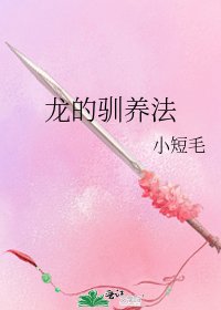 《龙的驯养法》