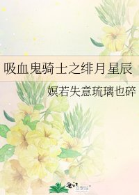 《吸血鬼骑士之绯月星辰》
