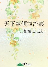 《天下贰倾浅流痕》