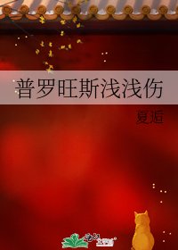 《普罗旺斯浅浅伤》