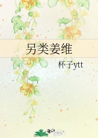 《另类姜维》