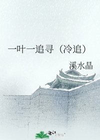 一叶一追寻（冷追）