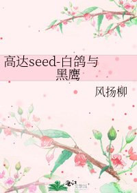 《高达seed-白鸽与黑鹰》