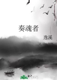 《奏魂者》