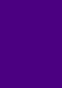《弦雨|Flicking Violet》