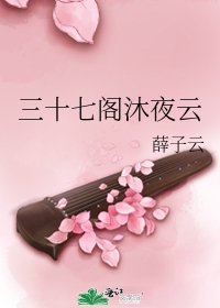 《三十七阁沐夜云》