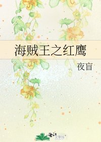 《海贼王之红鹰》