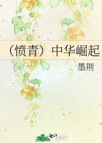 《(愤青)中华崛起》