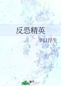 《反恐精英》