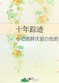 《十年踪迹》