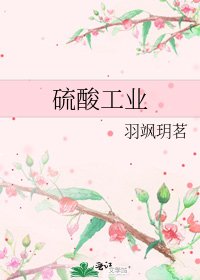 《硫酸工业》
